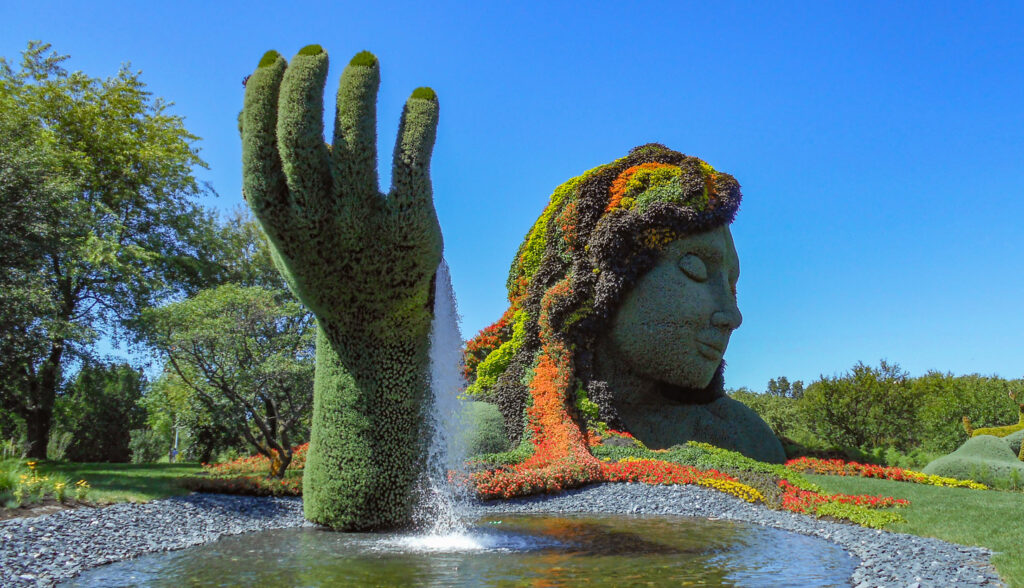 Kunst uit de botanische tuin
